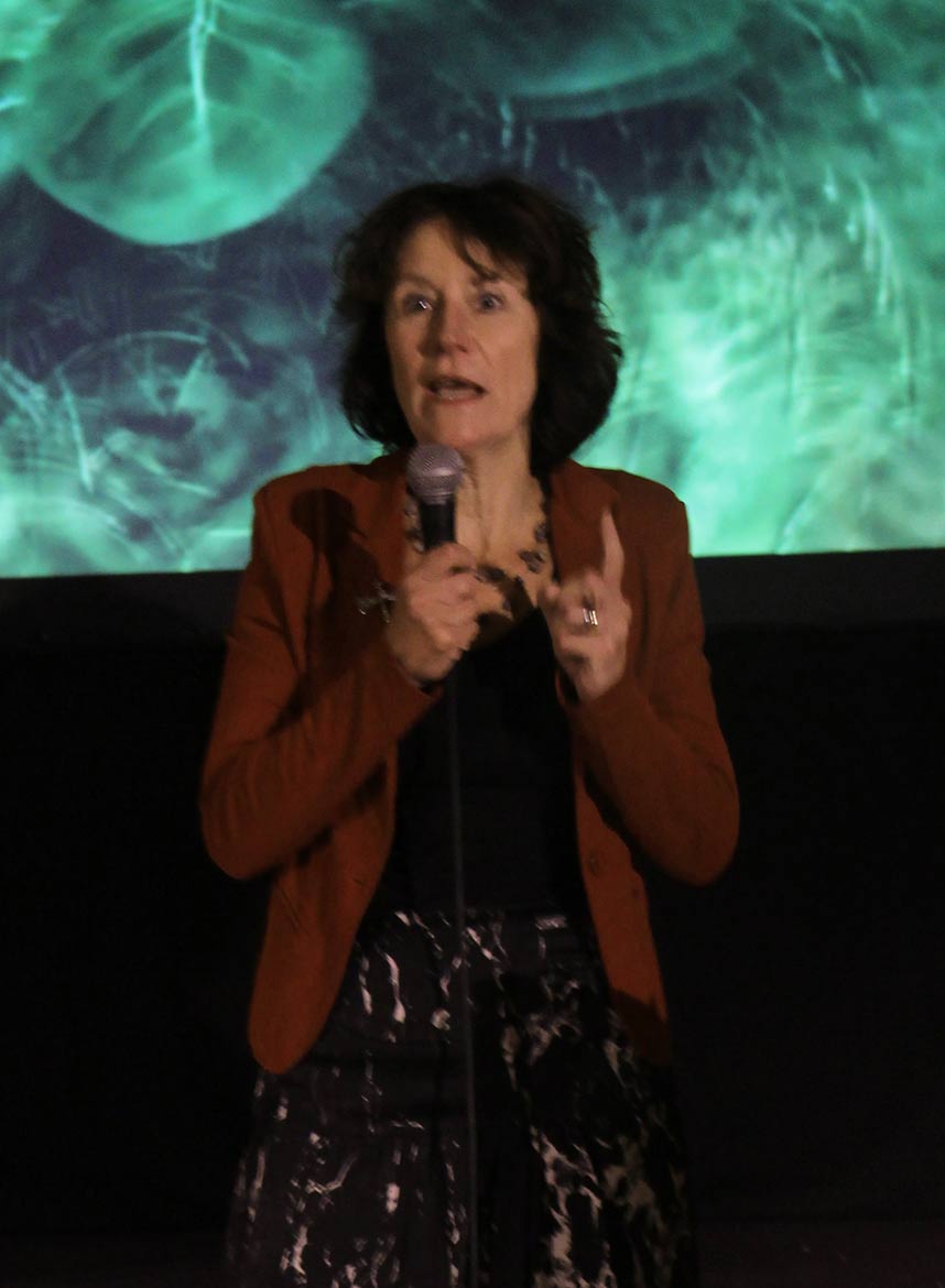Em. Prof. Louise Vet
Former director (1999-2019) of the Netherlands Institute of Ecology (NIOO-KNAW), and emeritus professor in Evolutionary Ecology at Wageningen University. Member of the Dutch Academy of Sciences.